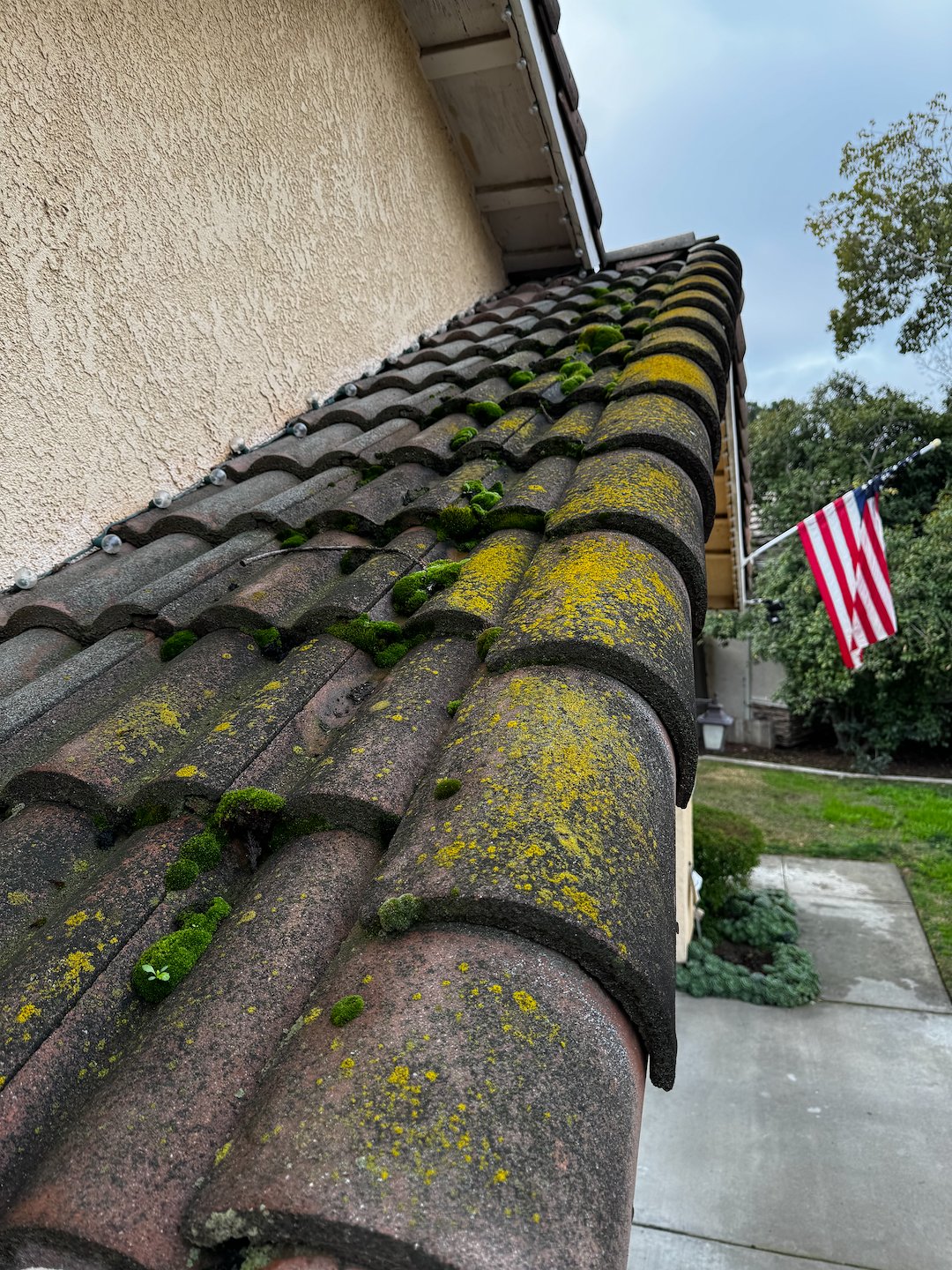 Roof washing Visalia ca