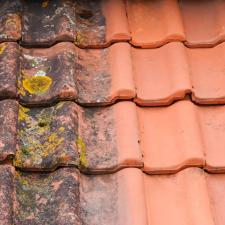 Tile-roof-restoration-Apex-pressure-Washing 0