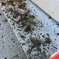 Visalia-Ca-Gutter-cleaning-service 3