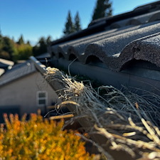 Visalia-Ca-Gutter-cleaning-service 5