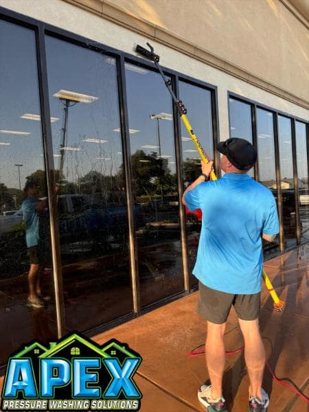 Window Cleaning